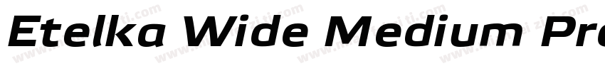 Etelka Wide Medium Pro Bold Italic字体转换